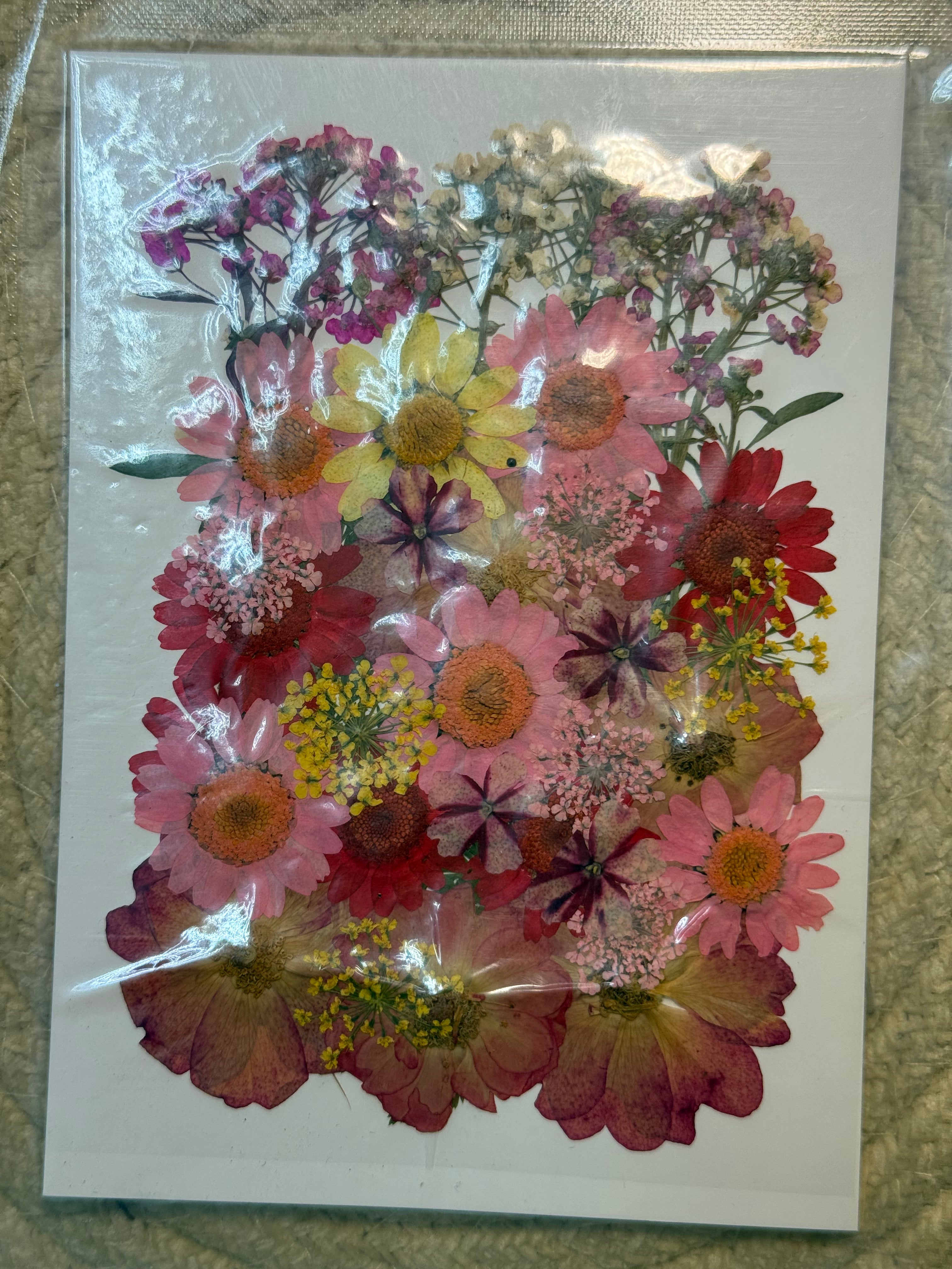 Pressed Flowers