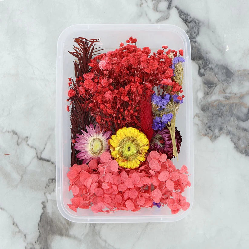 3D Dry Flowers